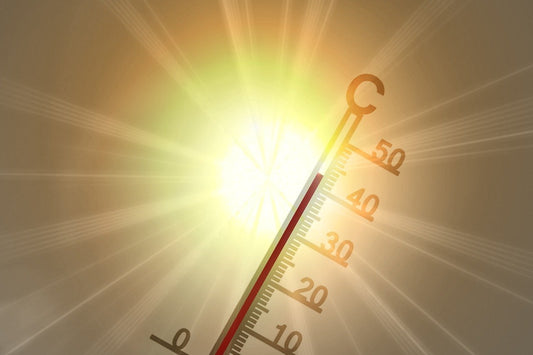 【佐賀は連日30℃超】熱中症から身を守るために今すぐできる対策とは?